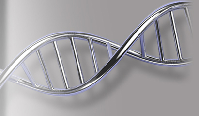 Gene codes sequencher 5.4.5 for mac os